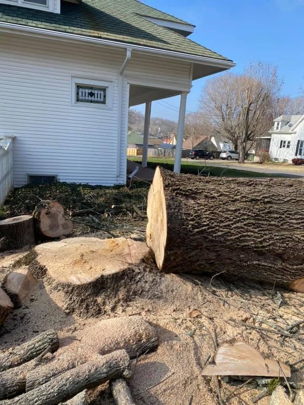 Tree Removal