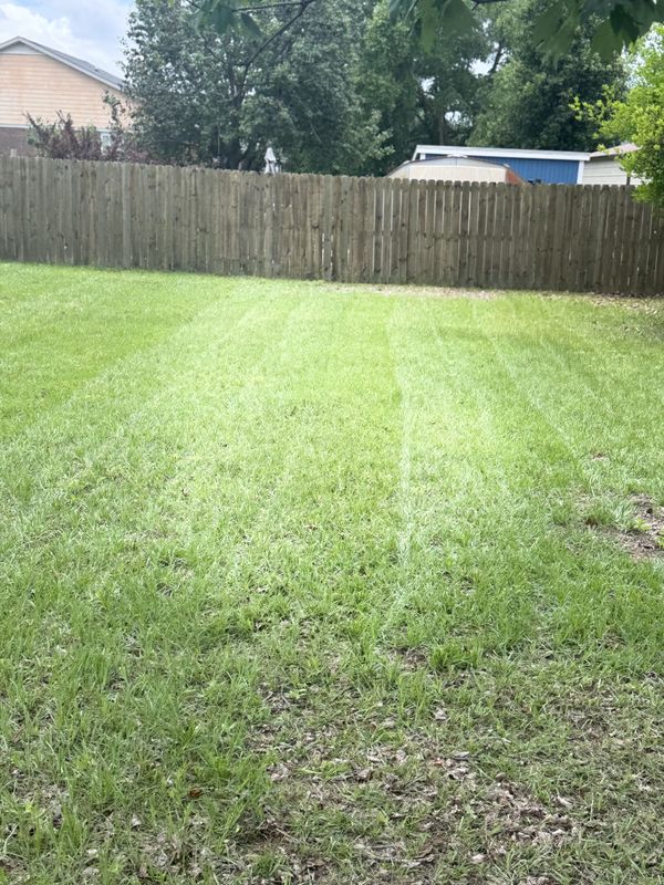 Lawn Maintenance