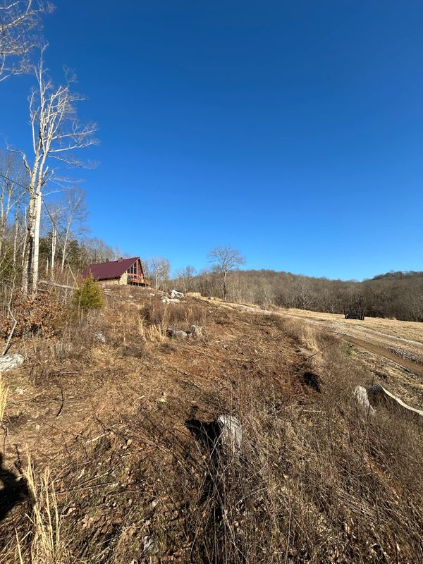 Land Clearing gallery