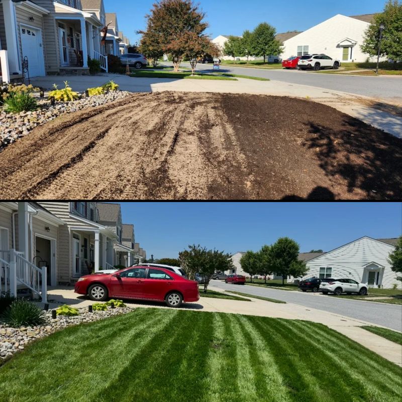 Lawn Mowing & Maintenance
