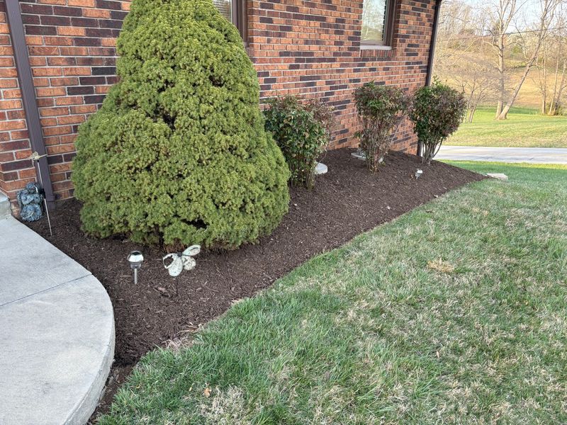 Landscape Design