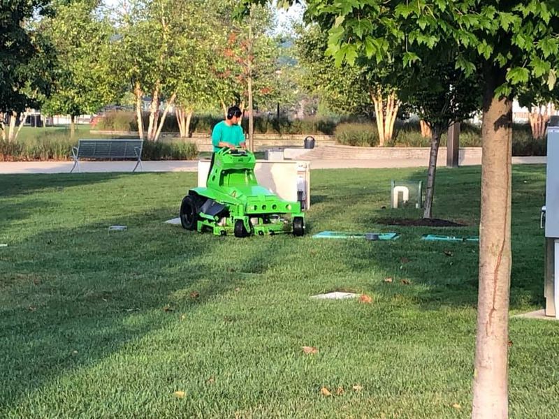 Sod And Seeding