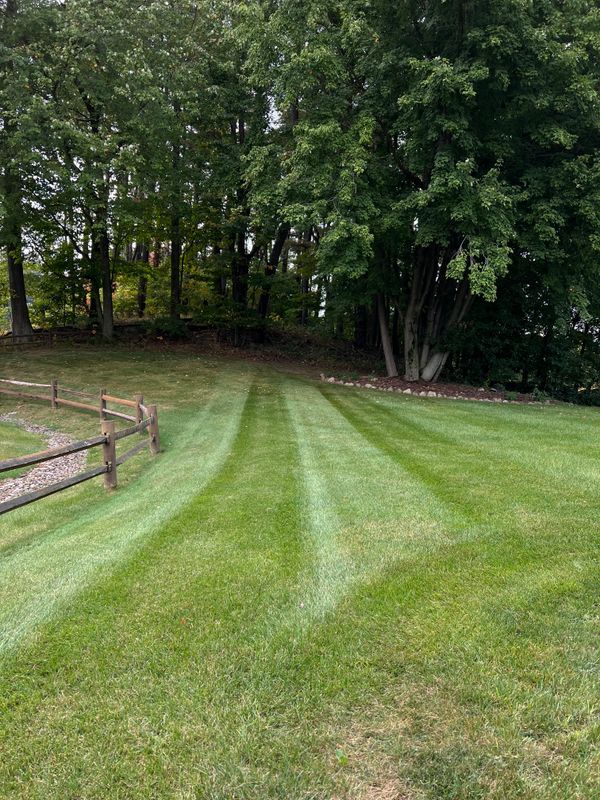 Lawn Care