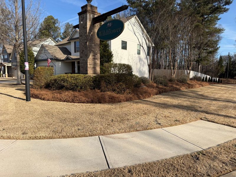 🏢 Commercial Landscape Installation
