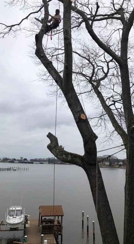24/7 Storm damage