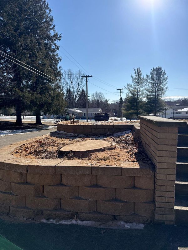 Stump Removal