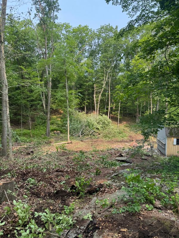 Land Clearing