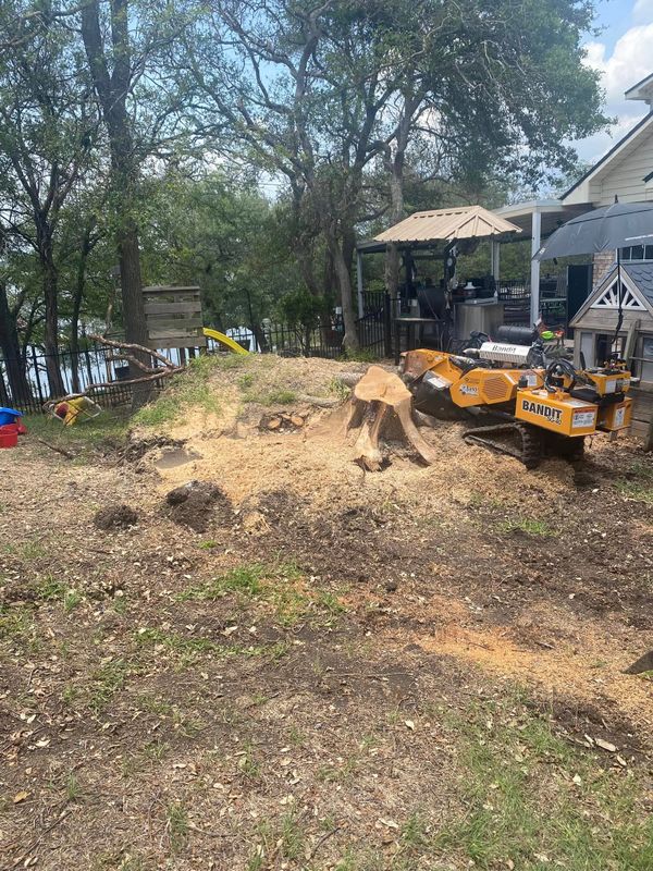 Stump Grinding gallery