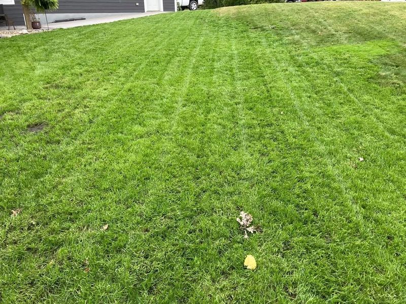 Erosion control / Hydroseeding gallery
