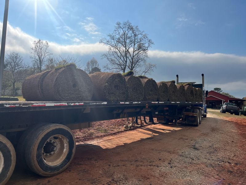 Sod & Irrigation