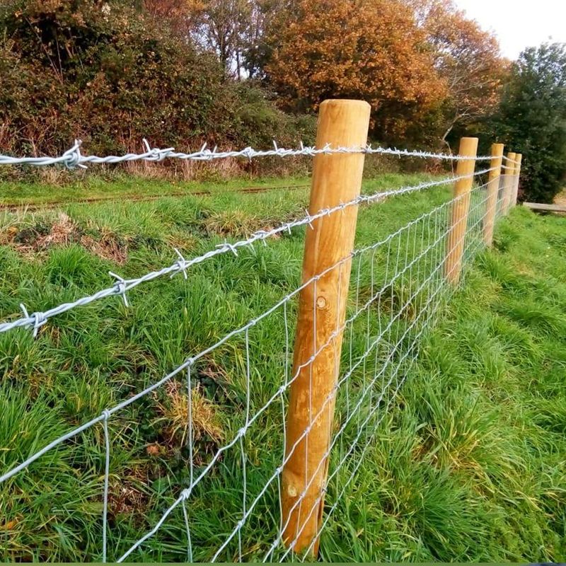 Fence Repair