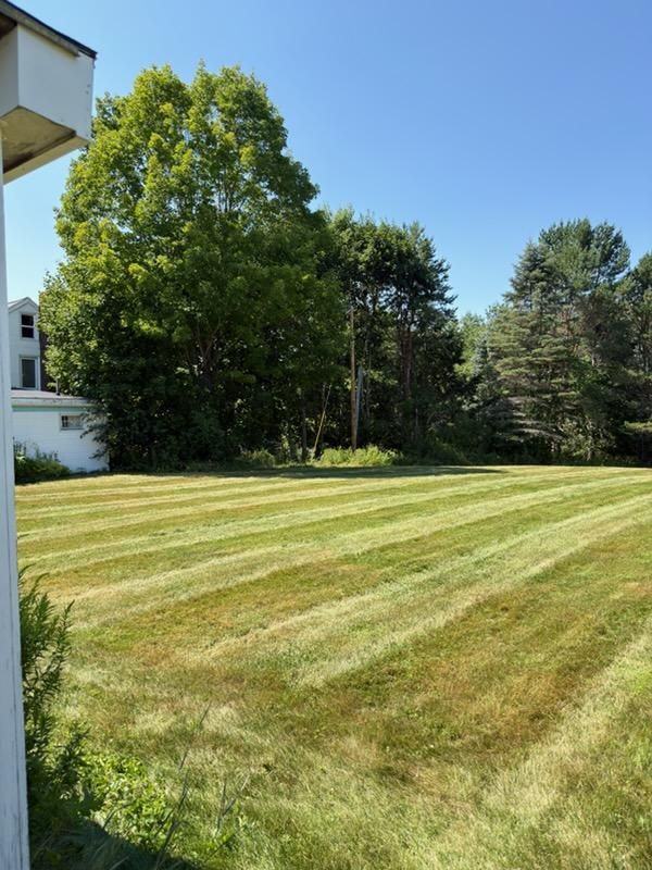 Lawn Maintenance