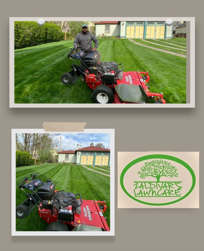 Lawn Aeration