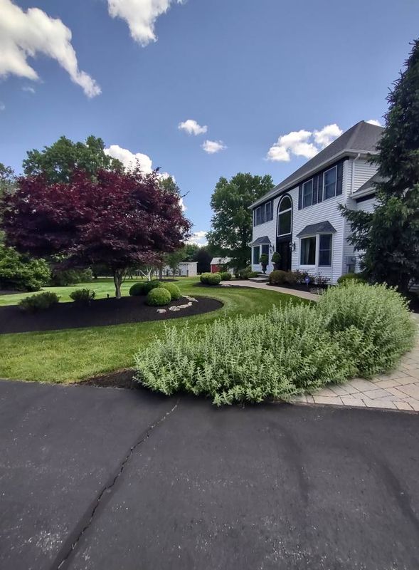 New landscapes. Plantings and mulch