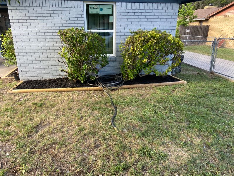 Mulch beds
