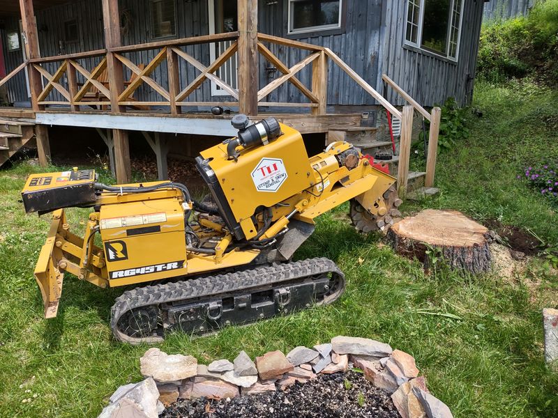 Stump Grinding
