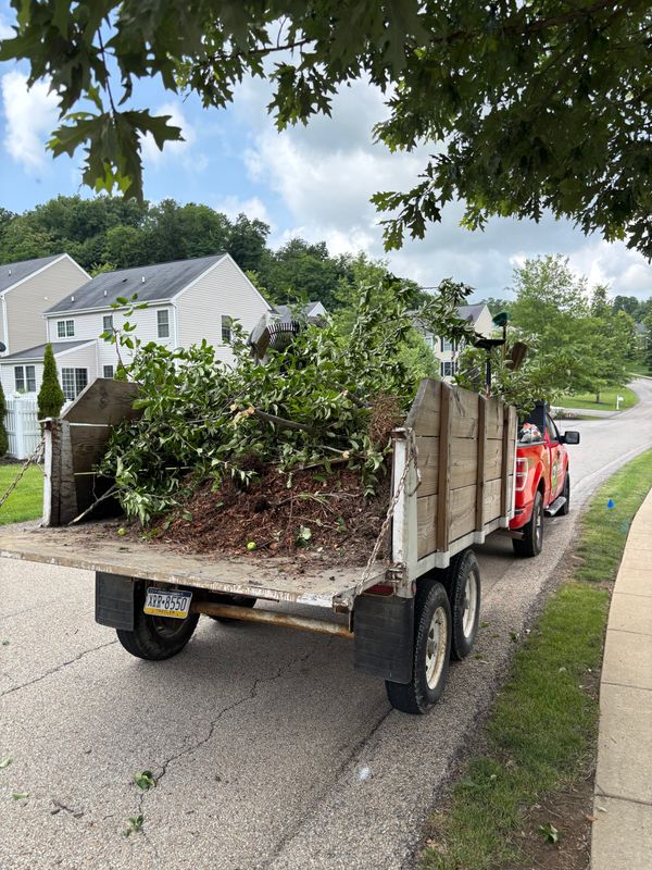 Landscaping