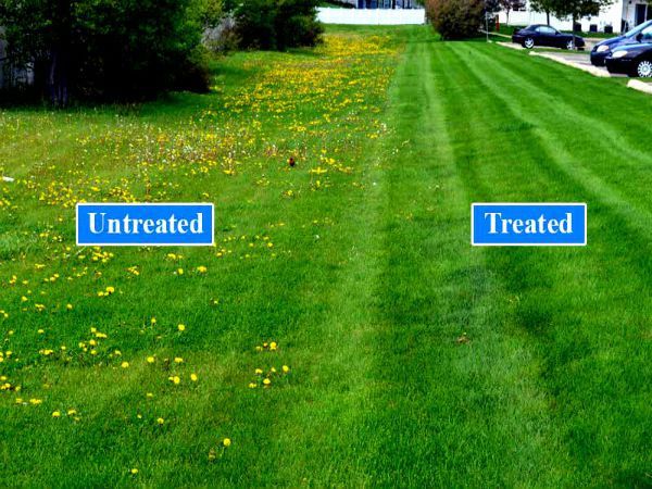 Fungicide Applications