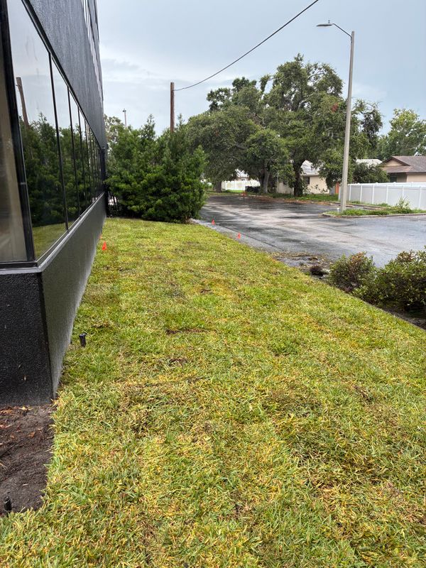 Sod Installation