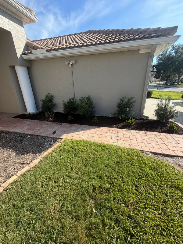 Landscape Design