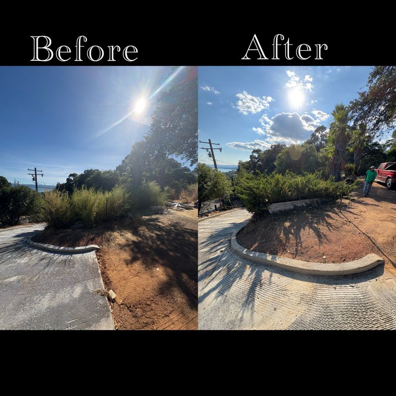 Tree & Shrub Care