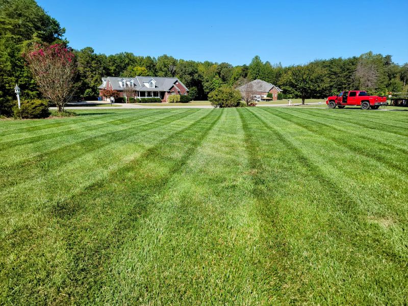 Lawn Care