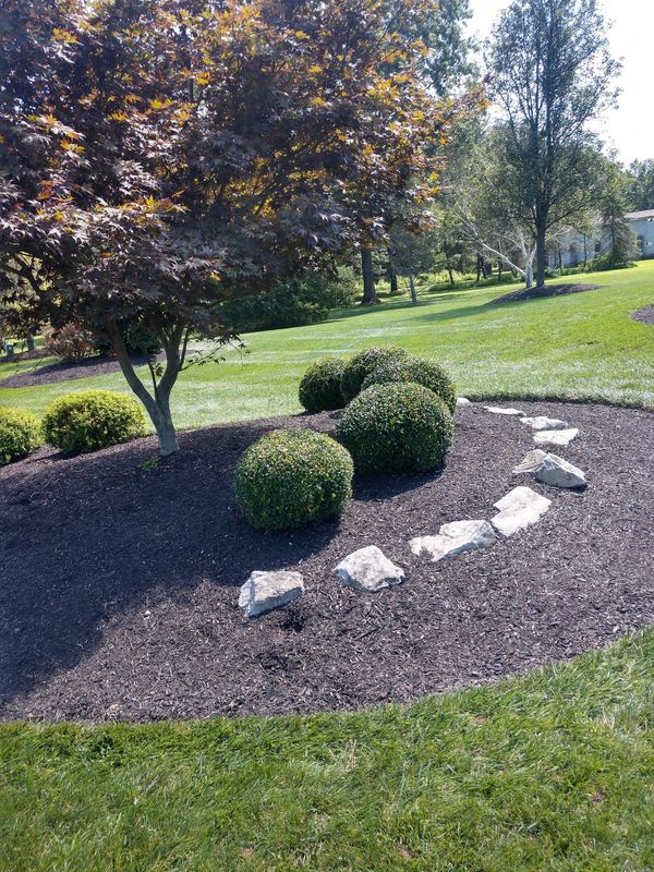 Plantings