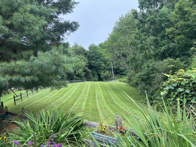 Lawn Maintenance