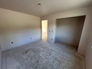 Painting and Drywall