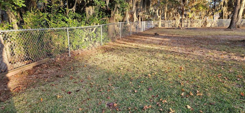 Chainlink Fences