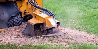 Tree Services