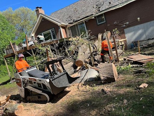 Tree Trimming
