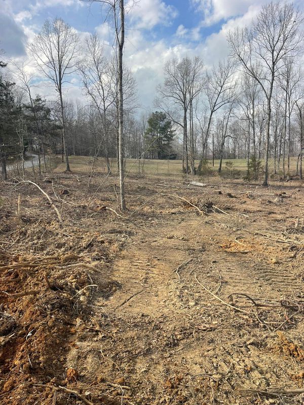 Forestry Mulching