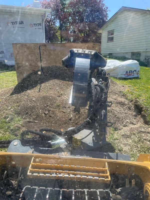 Stump Removal