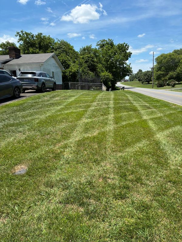 Landscape Design