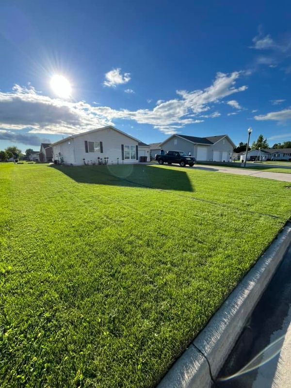 Lawn Maintenance