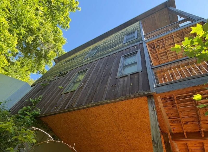 Staining Services