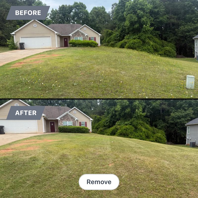 Before & Afters