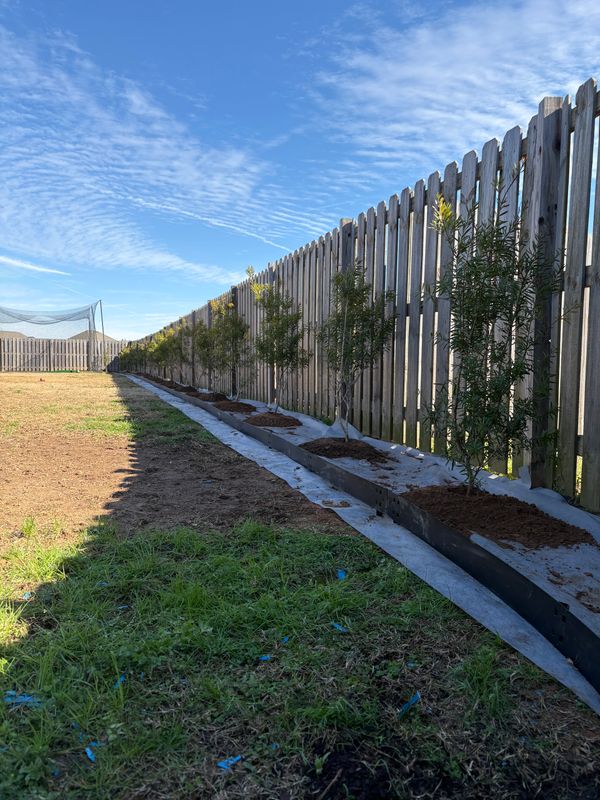 Landscape Maintenance