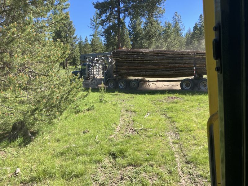 Logging