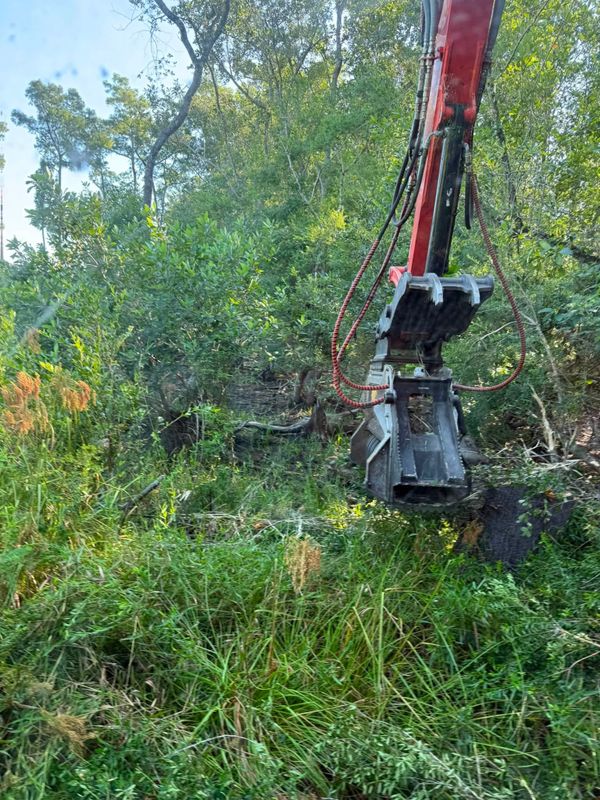 Land Clearing