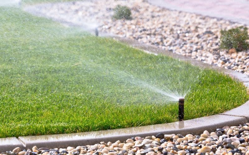 Weed Control