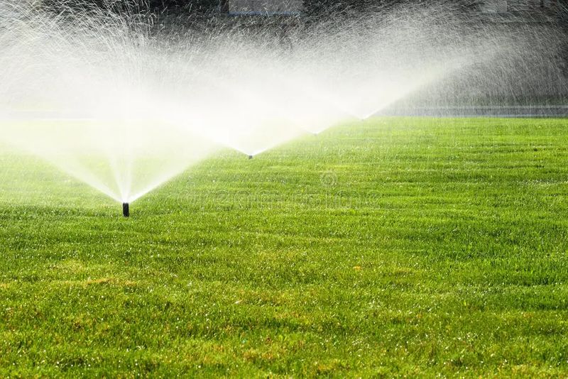 Irrigation maintenance