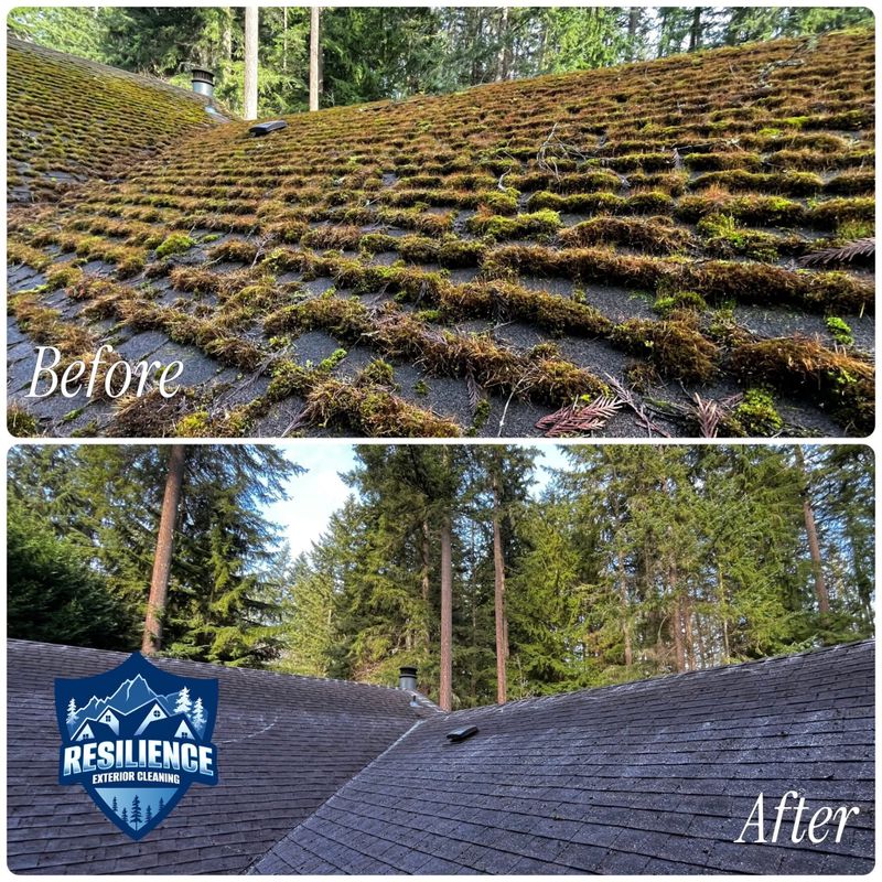 Roof Cleaning