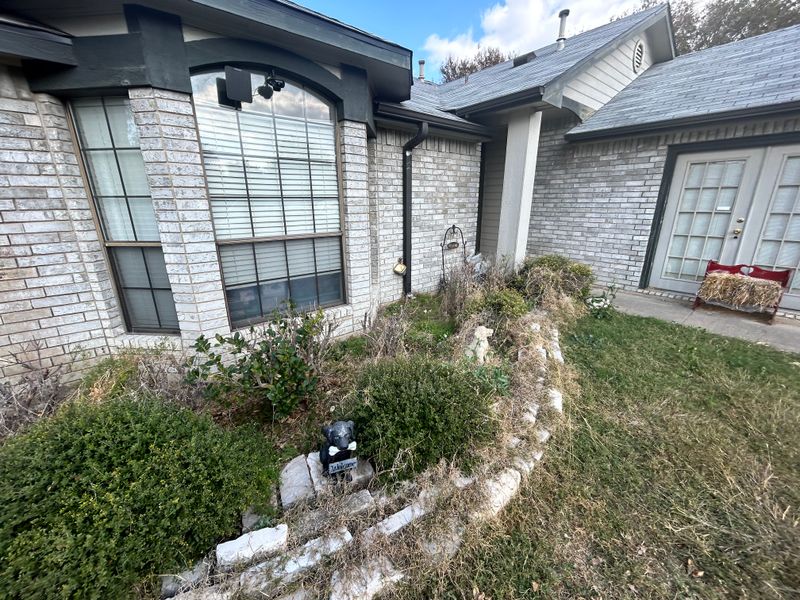Shrubbery trimming and removal