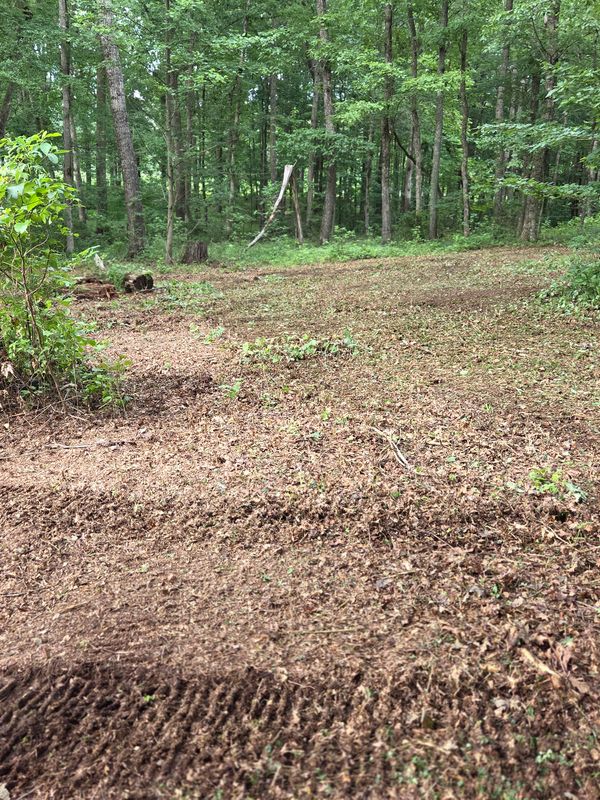 Forestry Mulching