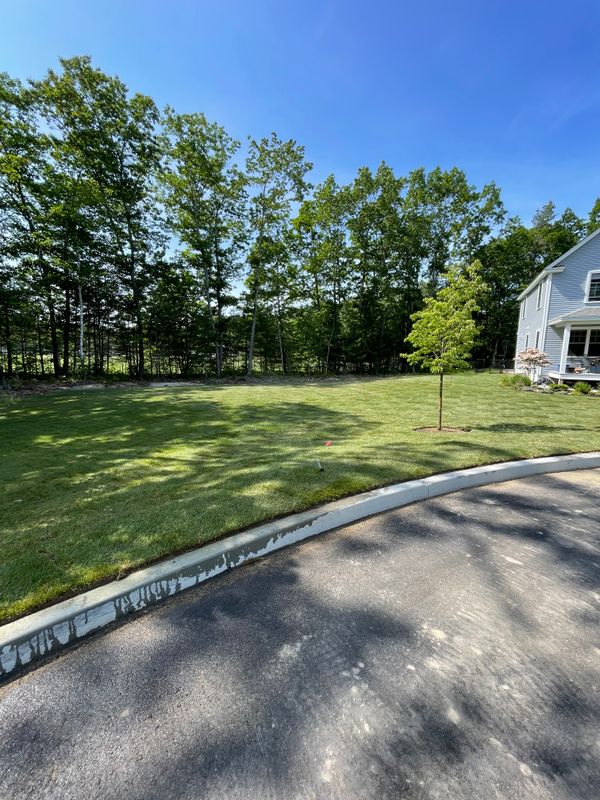 Lawn Installation