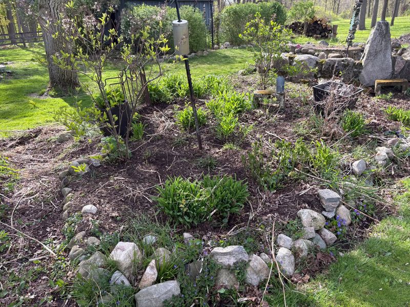 Seasonal Clean-Up