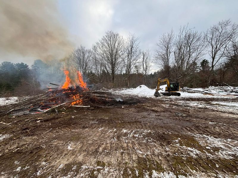 Stump Removal