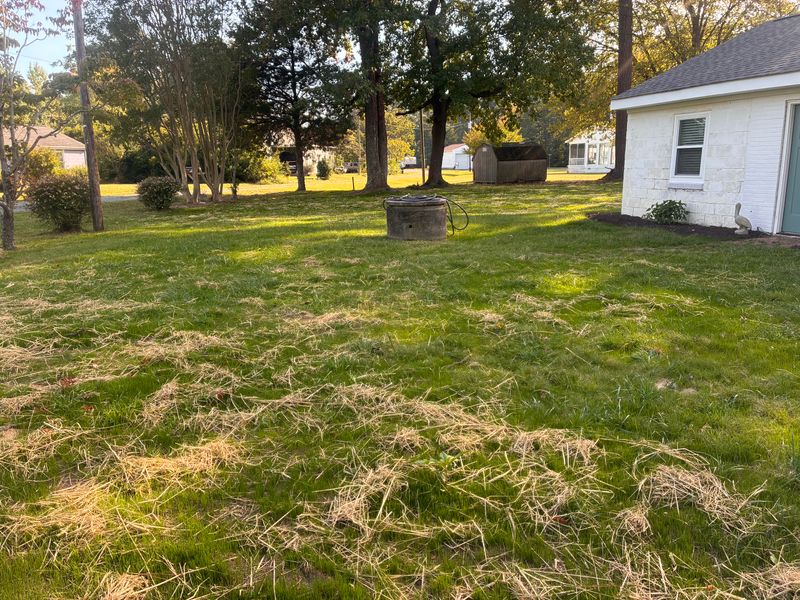 Lawn Aeration and Seeding